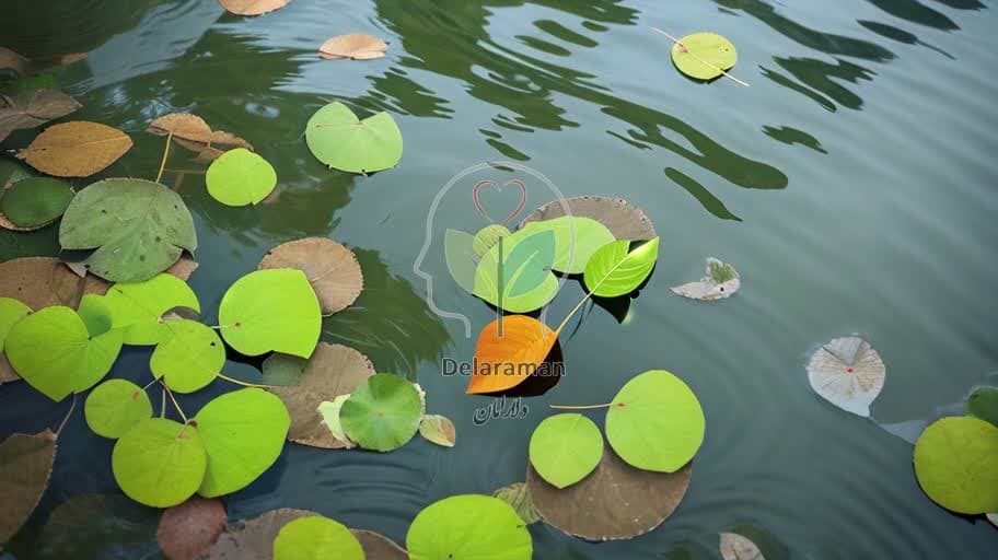 مدیریت اضطراب با تکنیکهای ذهنآگاهی